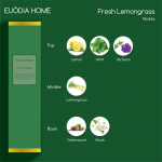 Fresh Lemongrass Fragrance Diffuser 50 ml
